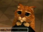 Filme Vazute - ahaha....finding nemo rulz :)) glumeam....la - Filme
